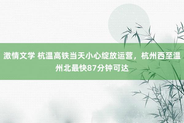 激情文学 杭温高铁当天小心绽放运营，杭州西至温州北最快87分钟可达