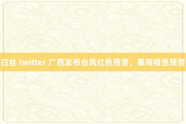 白丝 twitter 广西发布台风红色预警、暴雨橙色预警