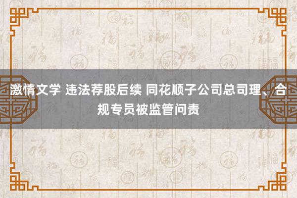 激情文学 违法荐股后续 同花顺子公司总司理、合规专员被监管问责