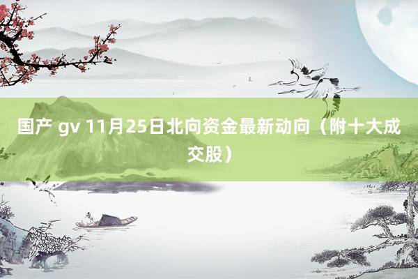 国产 gv 11月25日北向资金最新动向（附十大成交股）