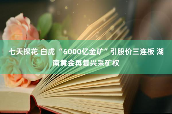 七天探花 白虎 “6000亿金矿”引股价三连板 湖南黄金再复兴采矿权