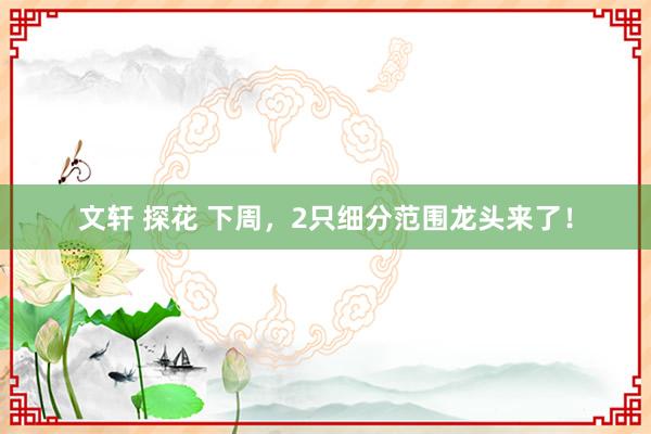 文轩 探花 下周，2只细分范围龙头来了！