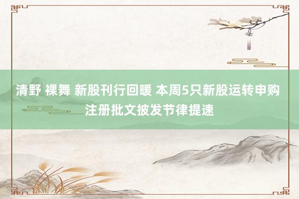 清野 裸舞 新股刊行回暖 本周5只新股运转申购 注册批文披发节律提速